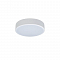 Светильник LOFT IT 10002/12 White